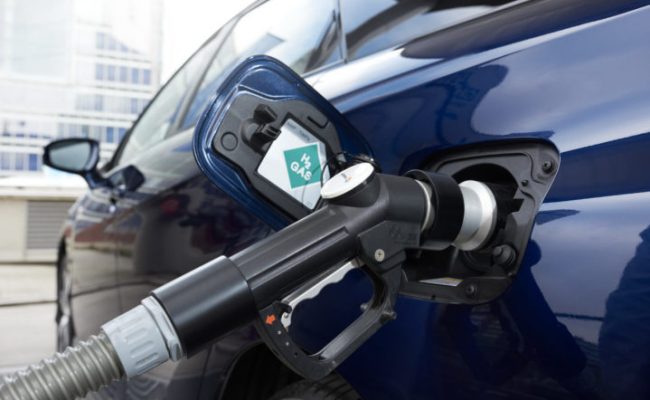 Toyota načrtuje terence in poltovornjake na vodikove gorivne celice